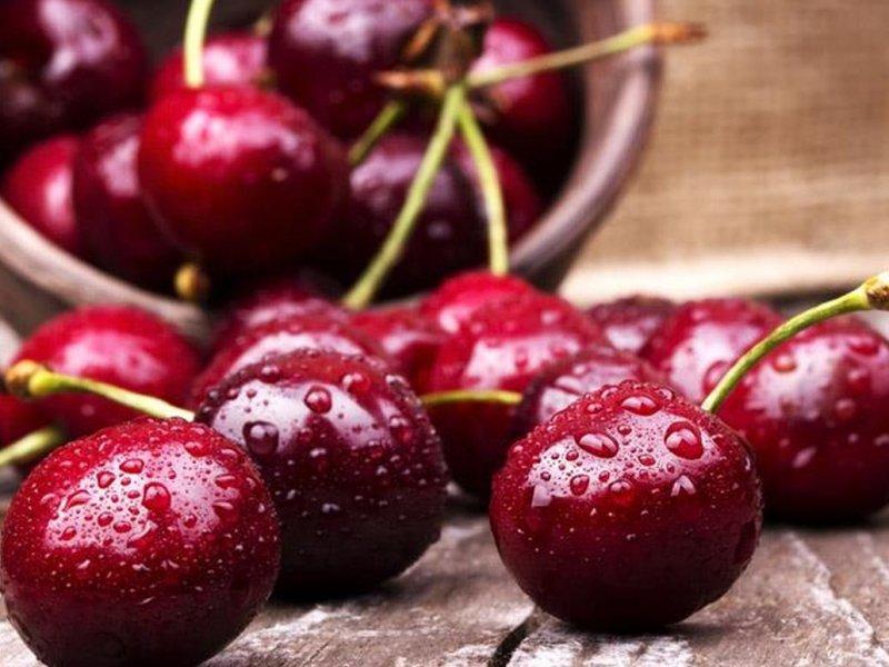 Вишня купить саженцы из питомника в Владивостоке